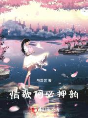 情歌何必押韵